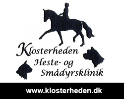 Klosterheden heste- og smådyrsklinik | Dyrlæge til heste og smådyr