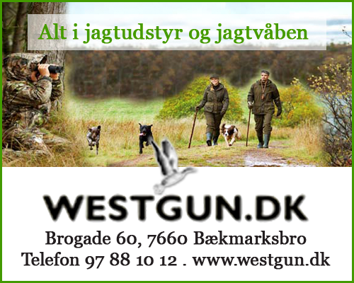Køb til Jagt og Fiskeri hos Westgun i Bækmarksbro ved Lemvig